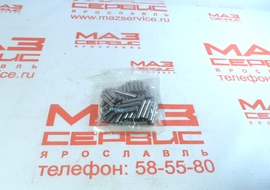 К-кт роликов на ось сателлита 4х25.8 А3  5440-2405040