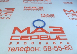 650.1011560 Кольцо резиновое теплообменика (035-041-36)