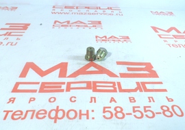 Сапун (болт разгрузочный тормозного механизма) 401602