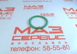 Уплотнитель термостата 658.1306054-01