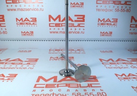 650.1007008 Клапан Впускной (MAHLE)