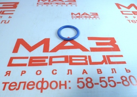 650.1002602 Кольцо уплотнительное патрубка насоса масляного 028х034х36