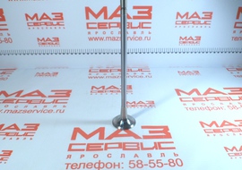 650.1007012 Клапан Выпускной