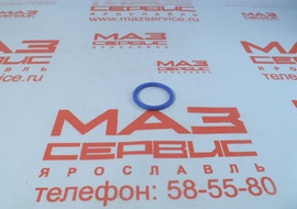 650.1118434 Кольцо 029-035-36 фторсиликон