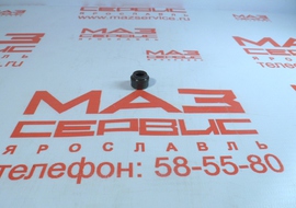 650.1007262 Манжета клапана (колпачок масл.) 