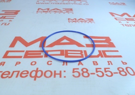 650.1005041 Кольцо ЯМЗ-650.10 уплотнительное втулки вала коленчатого 