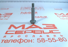 650.1003272 Болт клапанной крышки (М8х125х58)