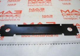Пластина промопоры 63031-2202062 /ОАО МАЗ/
